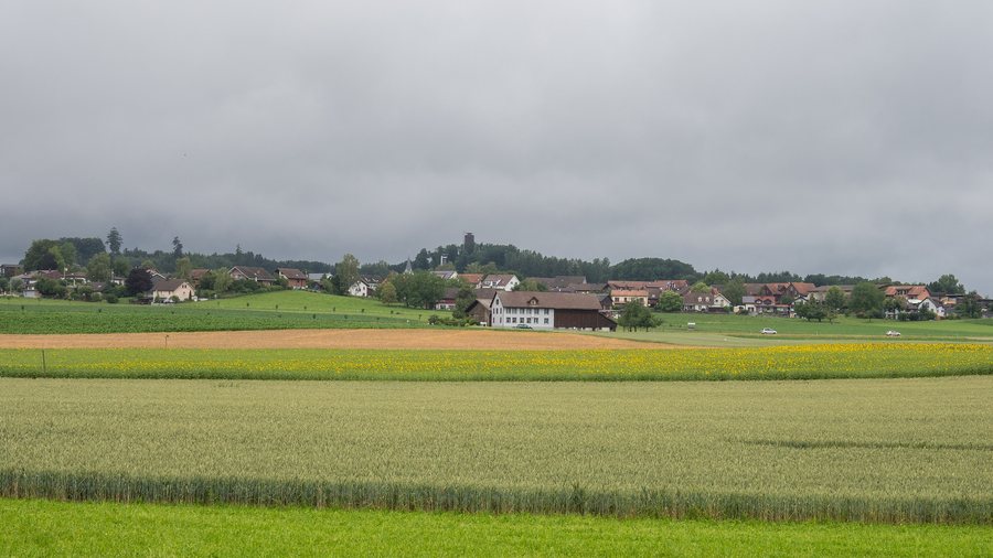 File:Blick von Osten auf Wäldi TG 20200629.jpg