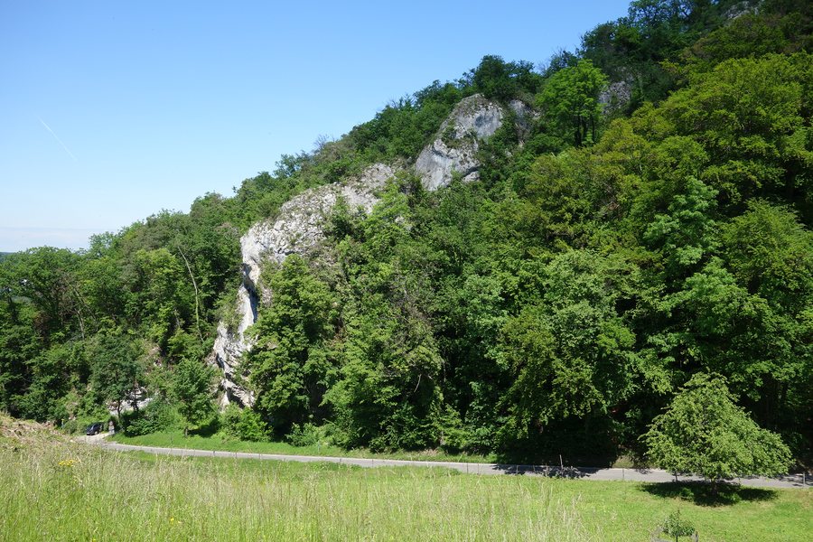Holi Felse, Birseck, Arlesheim BL