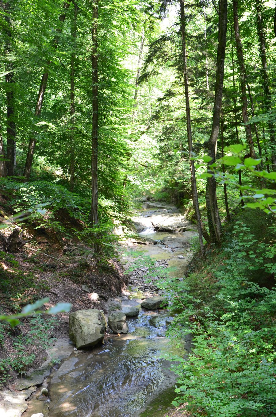 File:Mèbre.jpg