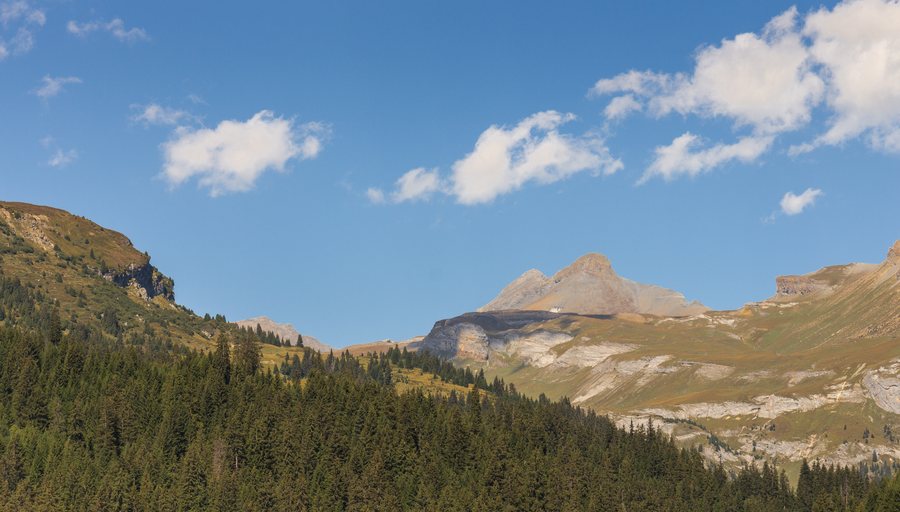 File:Bergweg tussen Andiast, Ladinas en Breil-Brigels (actm) 10.jpg
