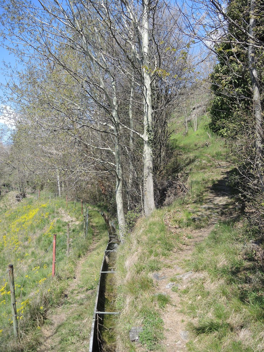 File:Suone Eggerberg.jpg