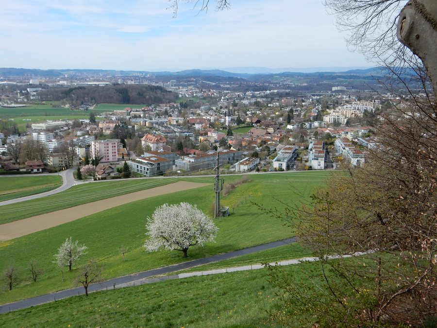 File:Bolligen mit Kirche.jpg