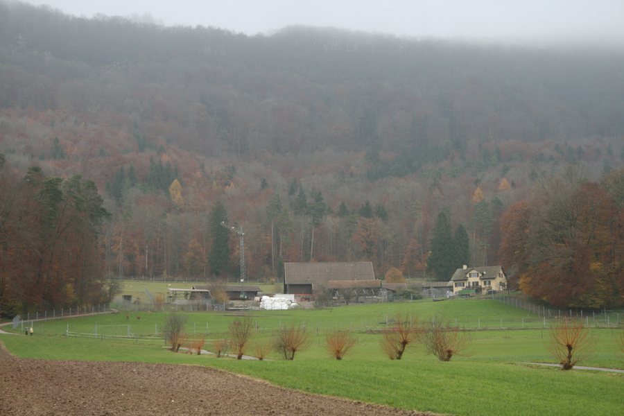 File:Wettingen Mooshof 2012-11-13.jpg