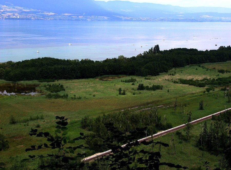 File:Gde Cariçaie vers Cheyres 1.JPG