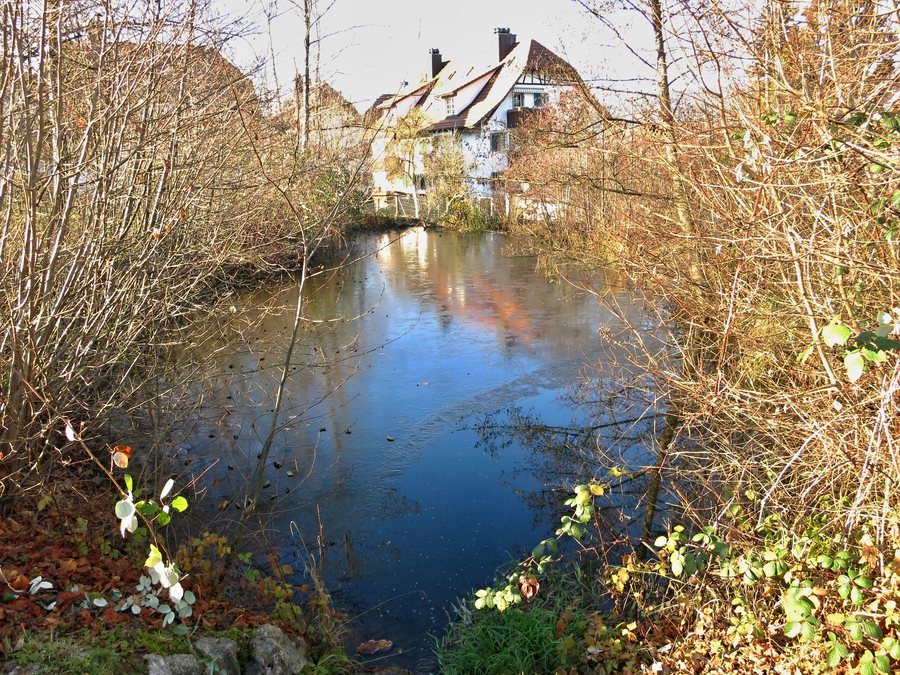 File:Müliweier Dänikon.JPG