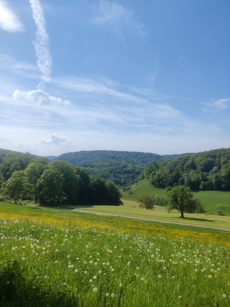 File:Hersberg 20260502 153455.jpg