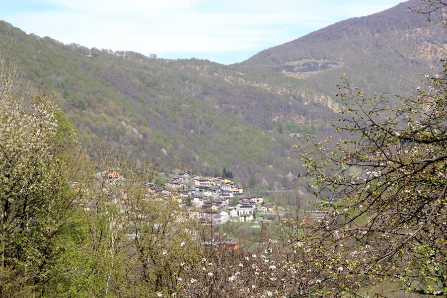 File:Isone April15.jpg