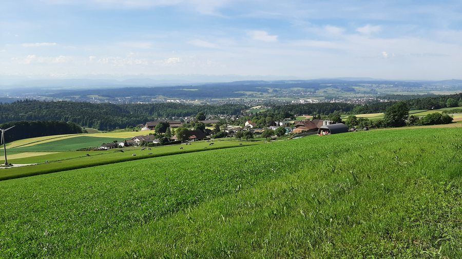 File:Oberrüttenen Kanton Solothurn, im Hintergrund Langendorf und Solothurn.jpg