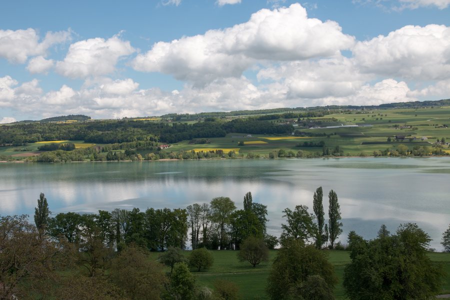 View from Beinwil am See over Lake Hallwil