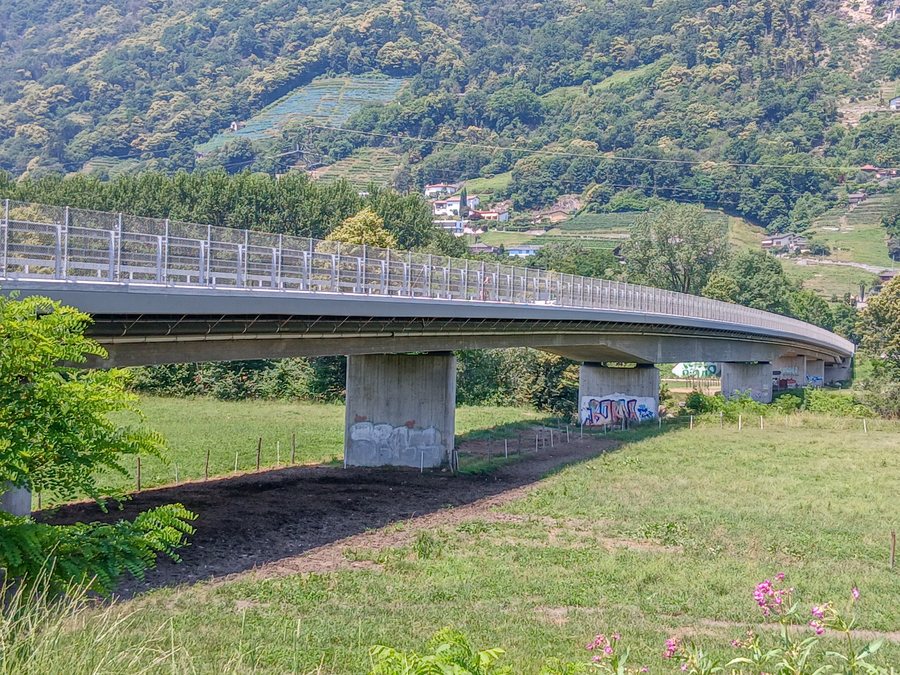 File:Al Piano-Brücke über den Tessin, Gudo TI 20250620-jag9889.jpg