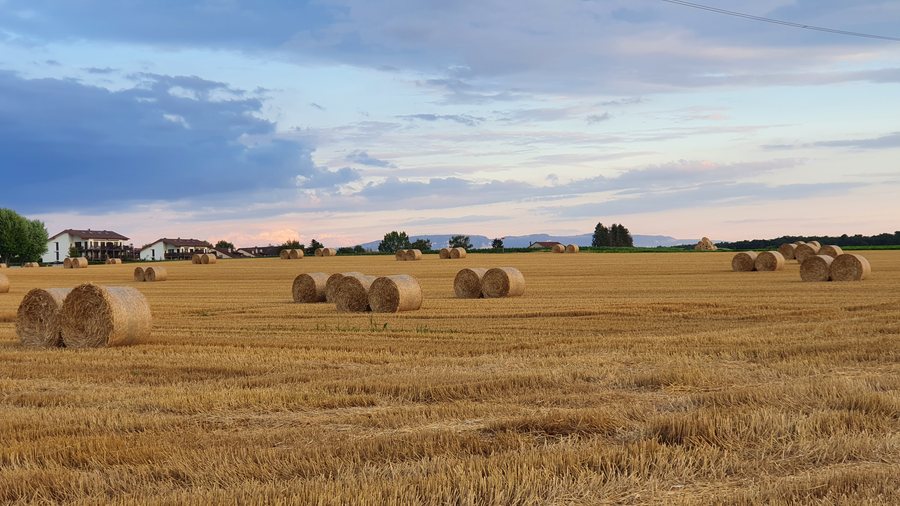 File:Haystacks in the field at dusk.jpg