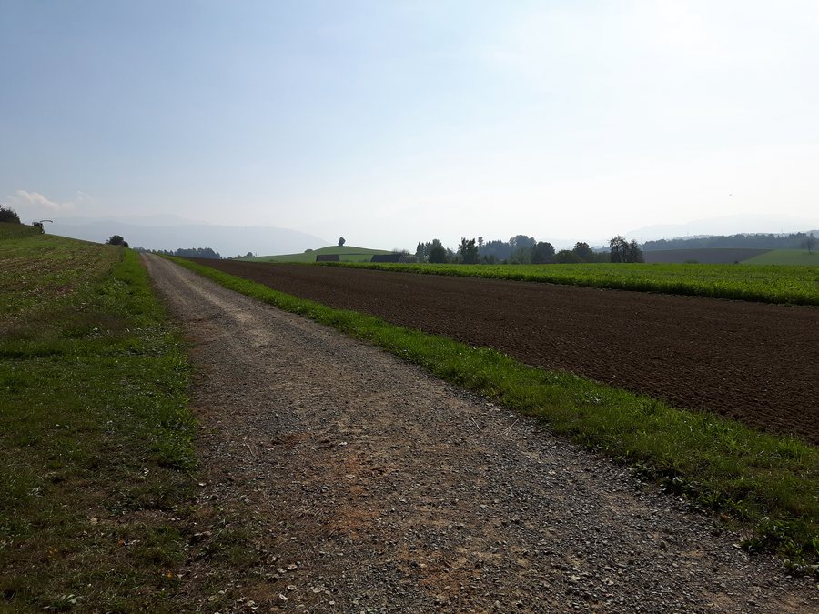 File:Holzacher nach Baaregg und Marchstein.jpg