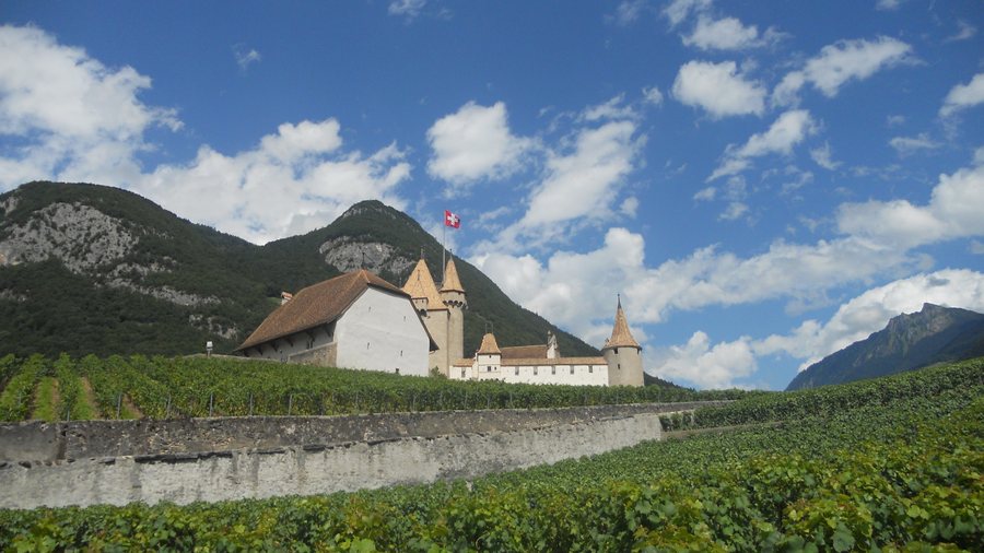 Vineyards of the Aigle castle
