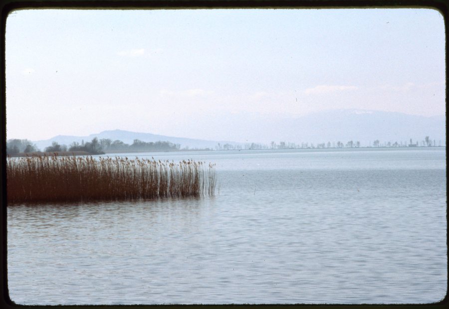 File:Delley-Portalban. Veduta del lago di Neuchâtel verso Yverdon.jpg