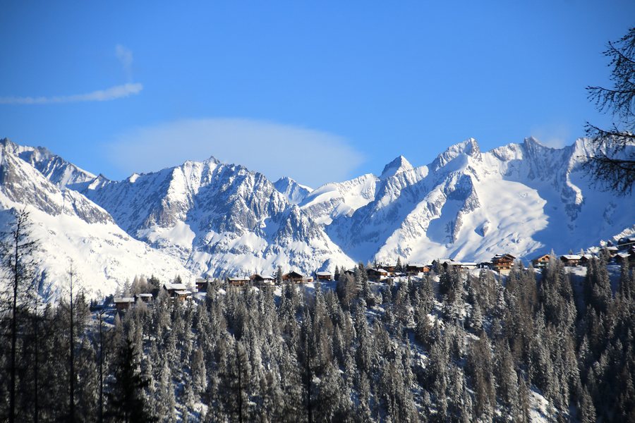 File:Rosswald (2019).jpg