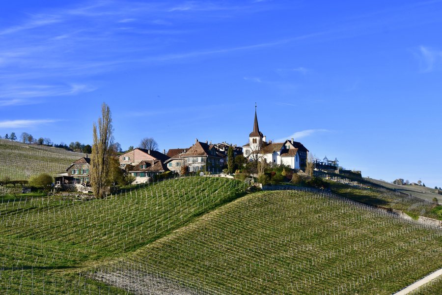 File:Féchy (VD).jpg