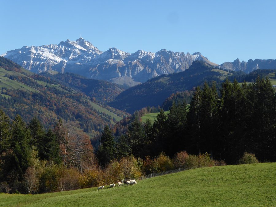 File:Neckertal und Säntis.jpg
