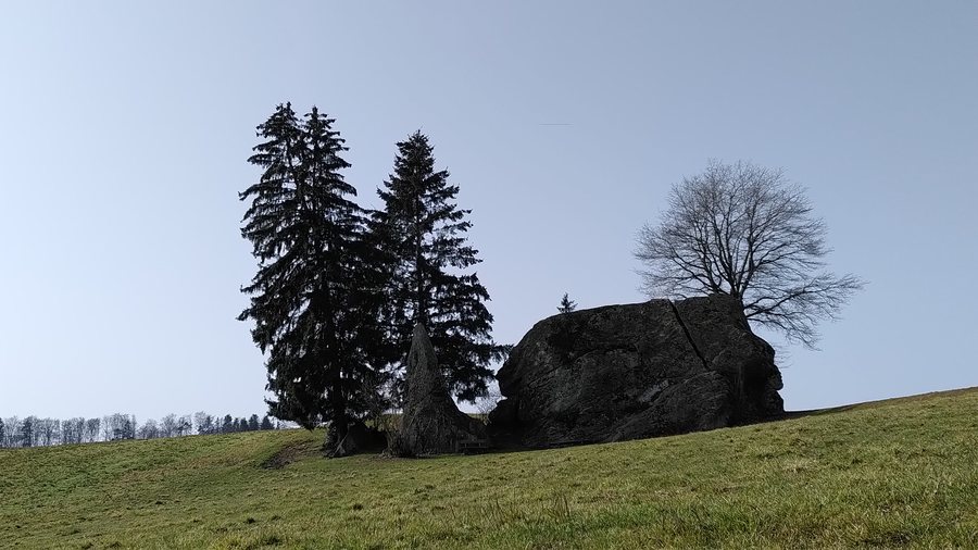 File:Steinhof SO - Findling Grosse Fluh.jpg