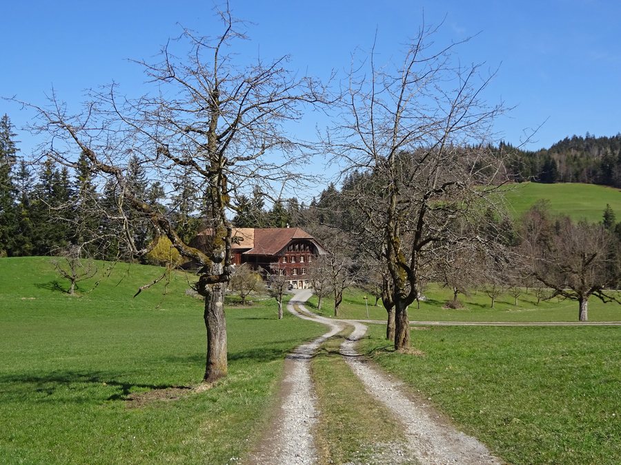 Hof Spittelsheimberg, Heimberg BE