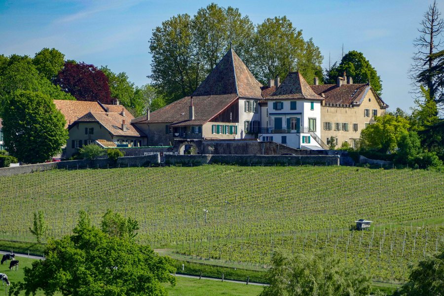File:Denens, château 16-05-2017.jpg