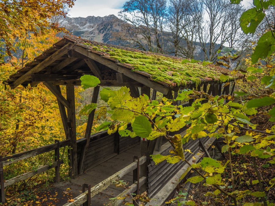 Covered Wooden Bridge over the Cafridabach, Conters im Prättigau