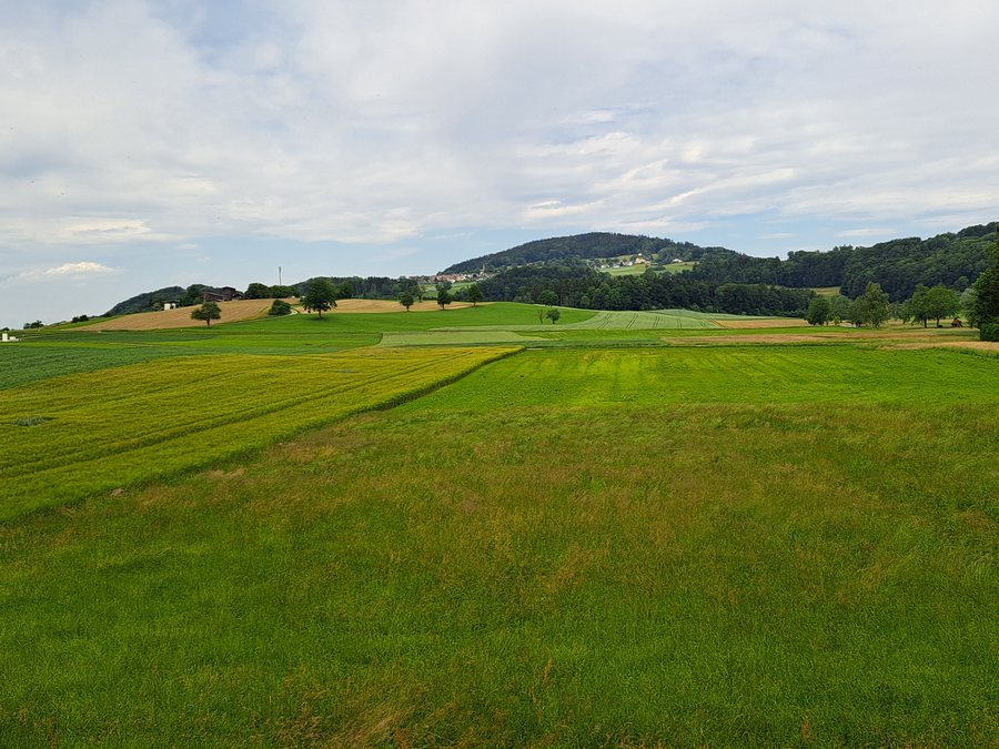 File:Aeugst.am.albis.jpg
