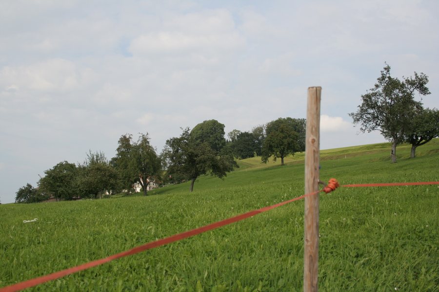 File:Waldkirch Landschaft.jpg