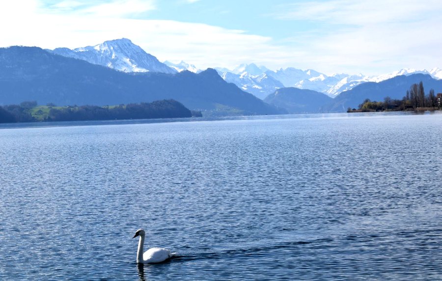 View of the lake near Küssnacht