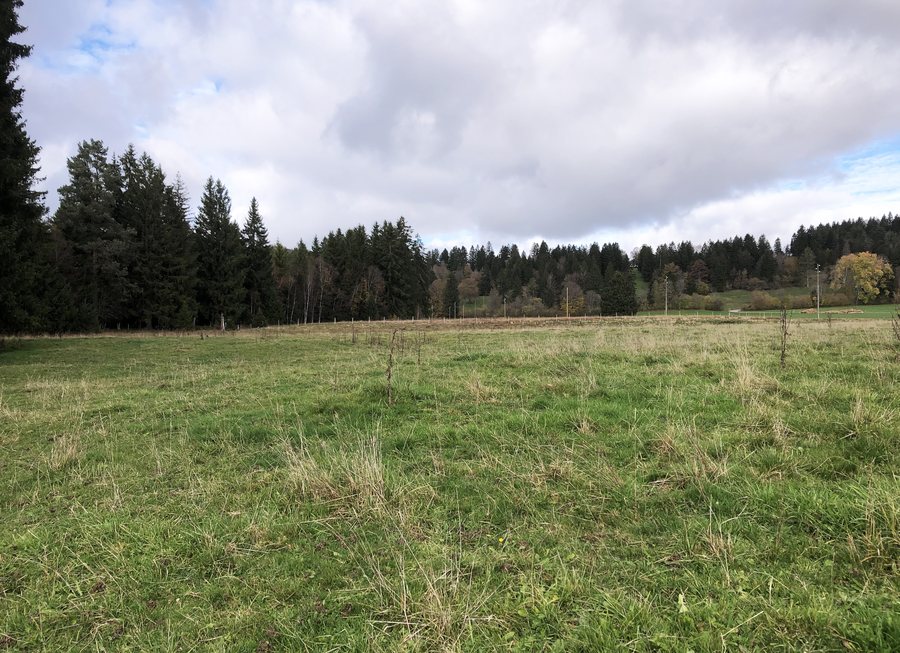 File:Naturschutzgebiet Bellelay.jpg