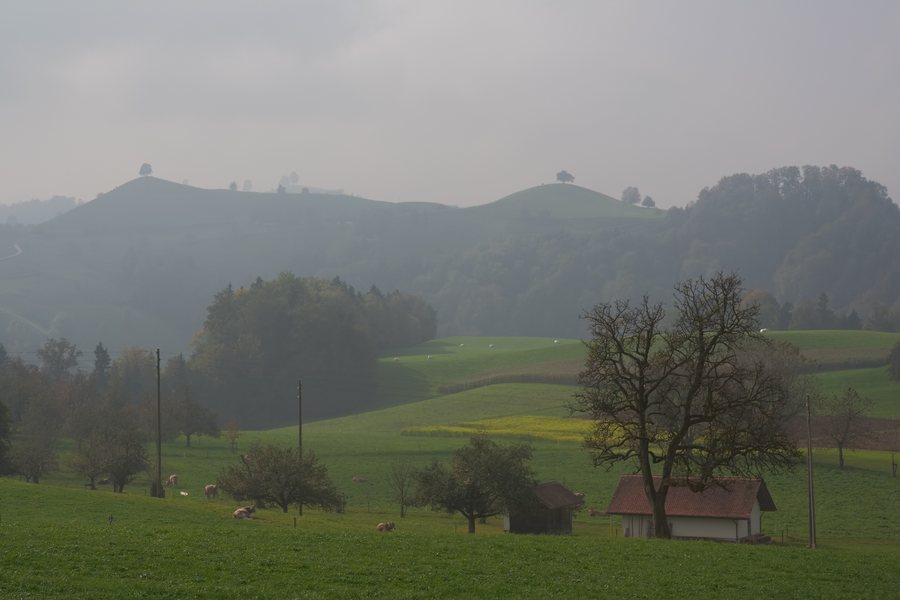File:Hirzel Drumlins.jpg