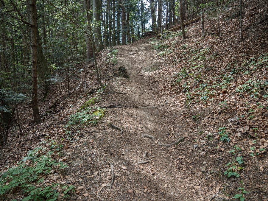 File:Dreikantonseck am Rappentobelbach, Knollhusen AR, Oberegg AI und Rebstein SG 20240413-jag9889.jpg