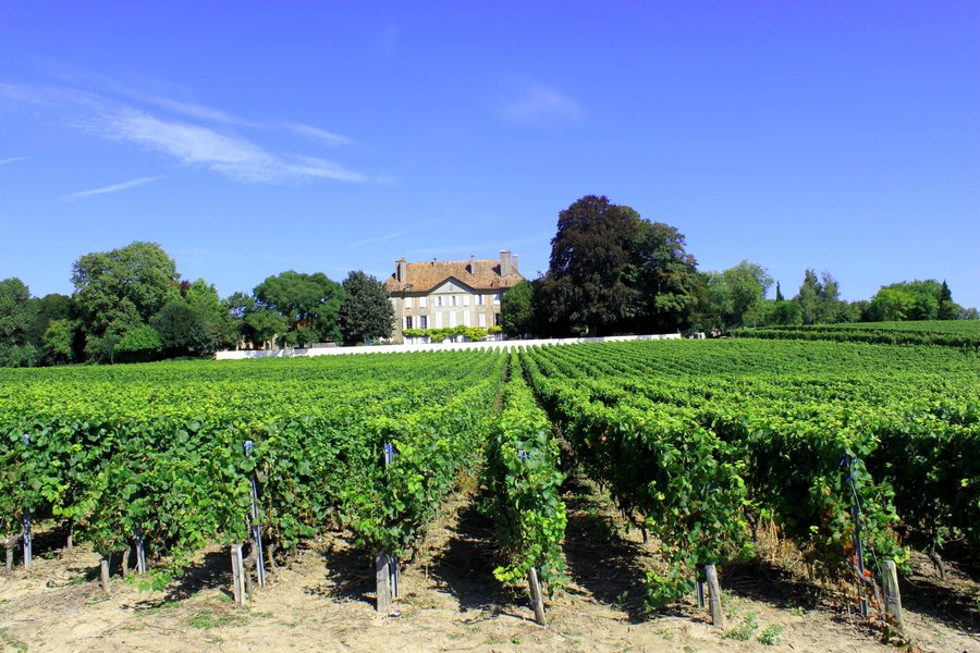 File:Château de Mestral bis.jpg