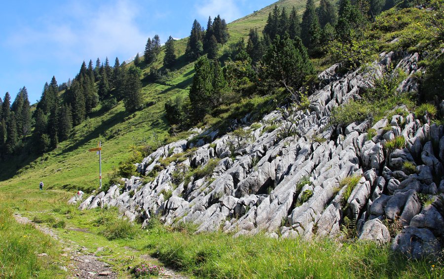 File:Riemenstalden Felsformation.jpg