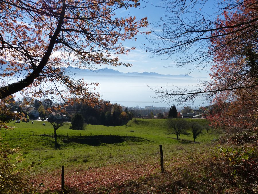 File:Signal de Belmont.jpg