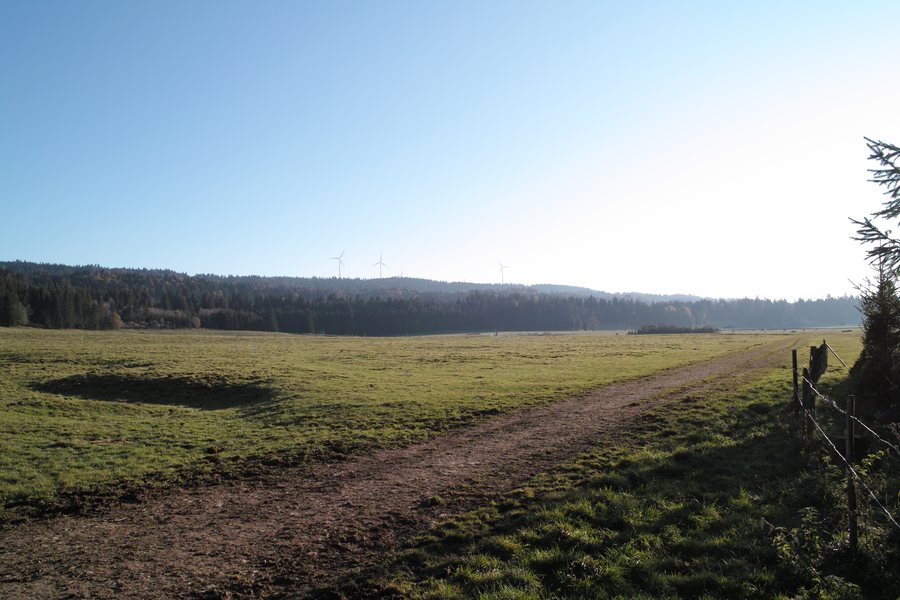 File:Pasture near Les Cerneux 2011.jpg