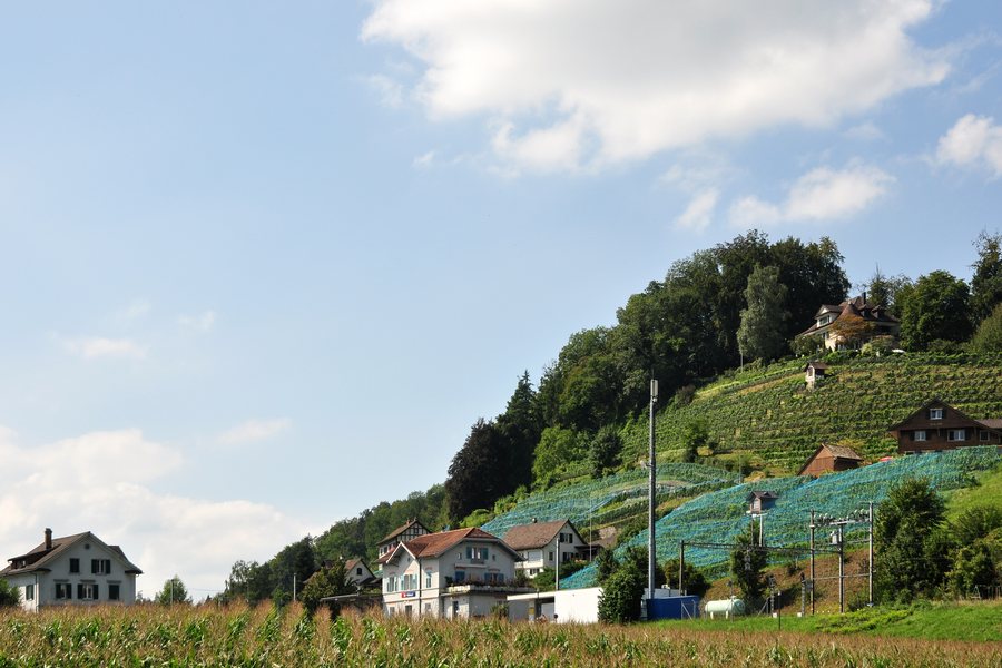 File:Feldbach (Hombrechtikon) 2011-08-30 14-25-16.jpg
