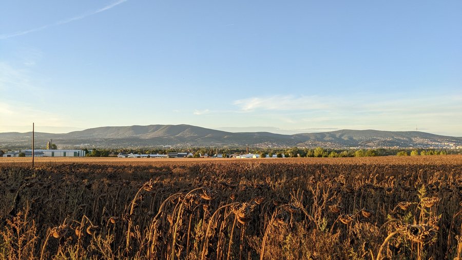 File:Pellérd panorama with sunflower field and Mecsek.jpg