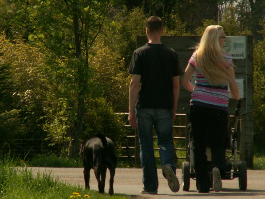Due persone passeggiano con un cane