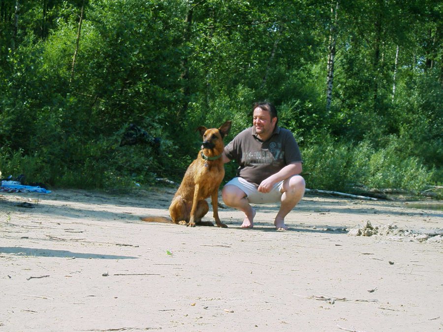 Un cane e il suo accompagnatore su una spiaggia
