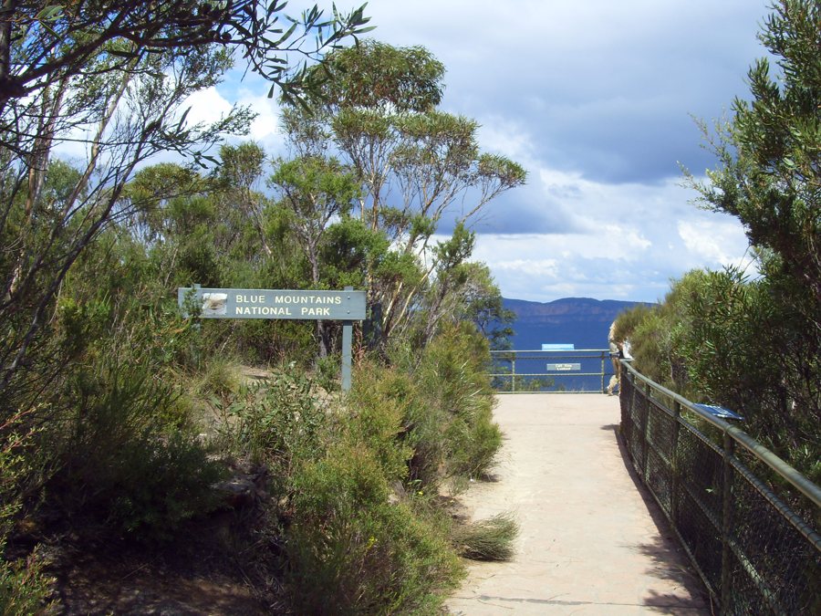 Sentiero nel parco nazionale Blue Mountains